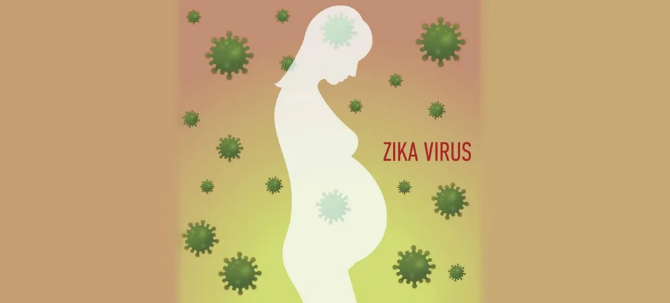 USA: 9 ciąż u zakażonych wirusem zika - Obrazek nagłówka