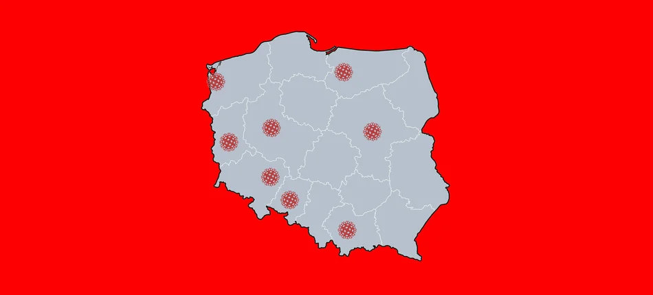 MZ: Potwierdzono 17. przypadek COVID-19 w Polsce - Obrazek nagłówka