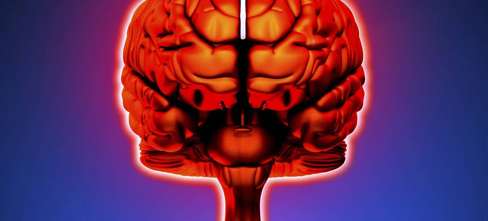 Bezpieczniejsza prewencja udarów mózgu - Obrazek nagłówka