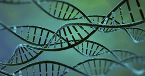 CRISPR trafia pod strzechy