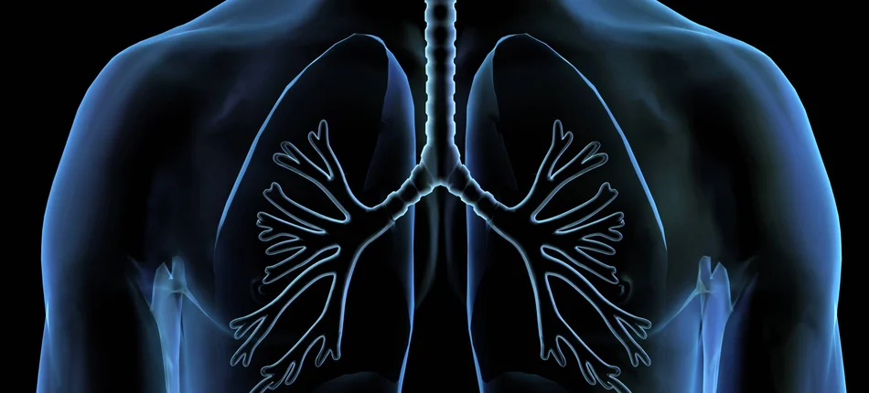 GIF wycofuje lek ułatwiający oddychanie. Sprawdź numer serii - Obrazek nagłówka