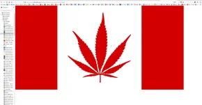 Kanada legalizuje marihuanę - medyczną i rekreacyjną 