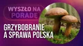 Jak przeżyć sezon na grzyby?