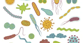 WHO: Coraz więcej bakterii lekoopornych