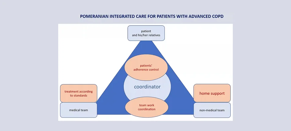 Innowacyjny model opieki zintegrowanej nad pacjentami z POChP - Obrazek nagłówka