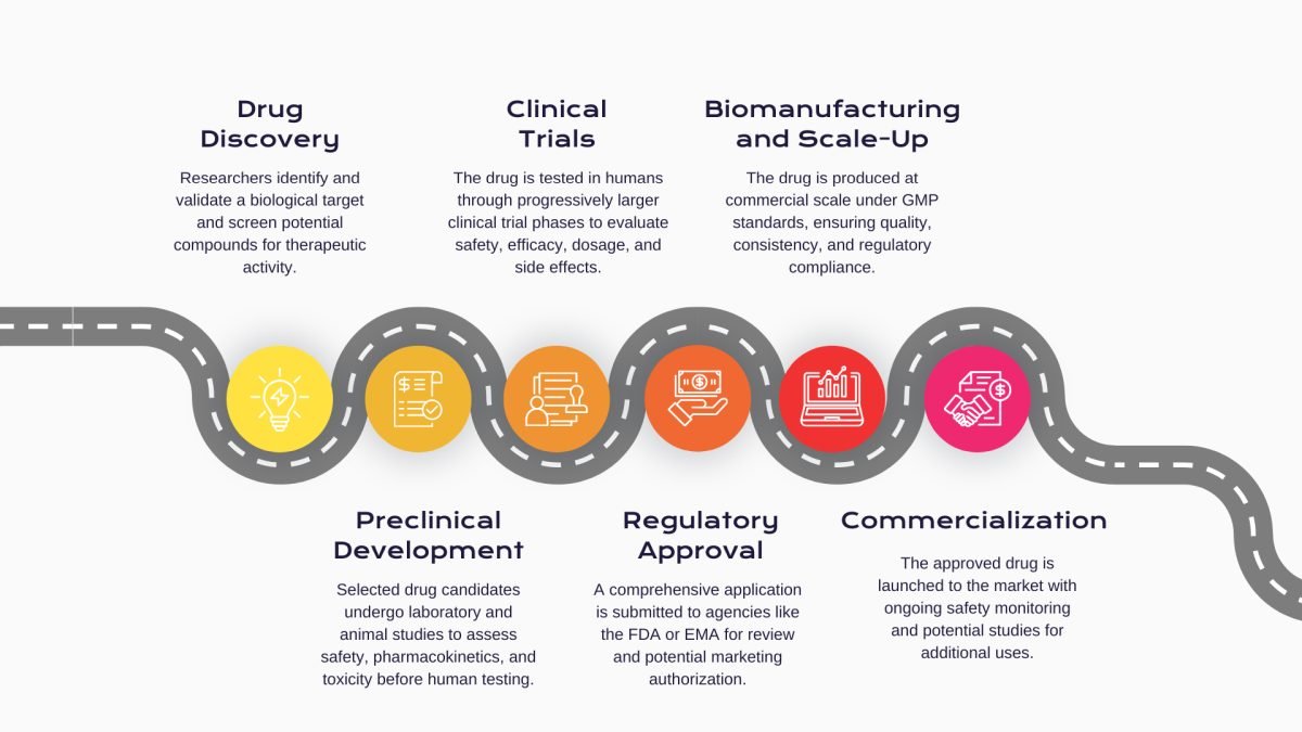 drug-development-process