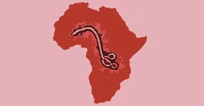 Wirus Ebola bytuje w nasieniu dłużej niż sądzono