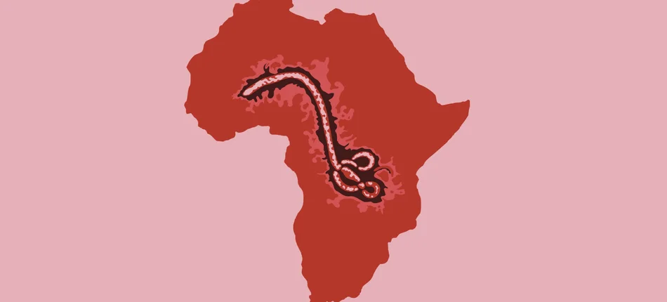 Wirus Ebola bytuje w nasieniu dłużej niż sądzono - Obrazek nagłówka