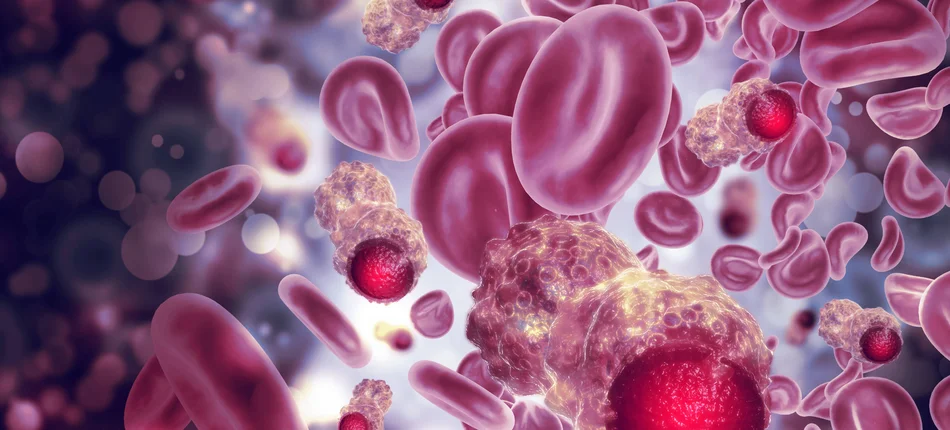 Obiecujące cząsteczki dla chorych na nowotwory krwi i szpiku - Obrazek nagłówka