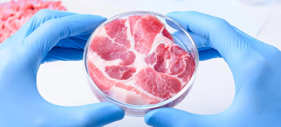 Coraz więcej antybiotyków w polskim mięsie - Obrazek nagłówka