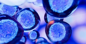 Terapie komórkami macierzystymi - co o nich wiemy?