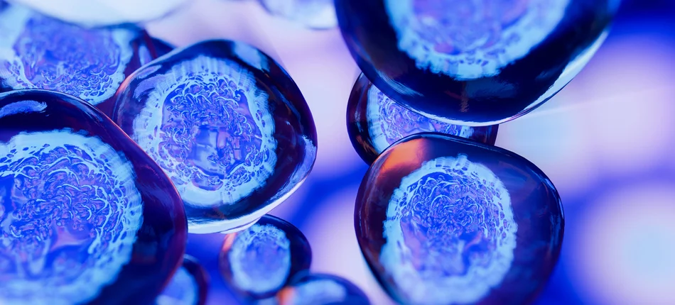 Terapie komórkami macierzystymi - co o nich wiemy? - Obrazek nagłówka