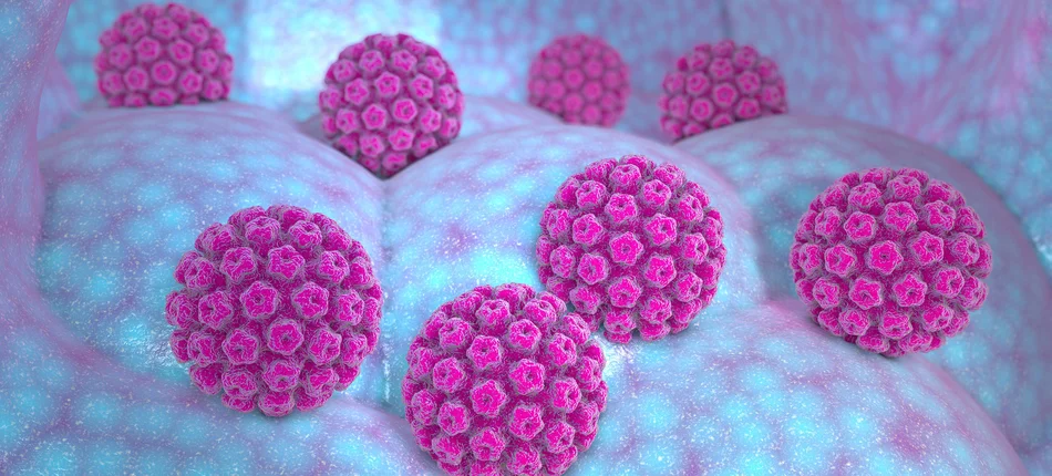 Fundusz Medyczny otwiera drogę do rozpoczęcia wyczekiwanego programu szczepień przeciw HPV - Obrazek nagłówka