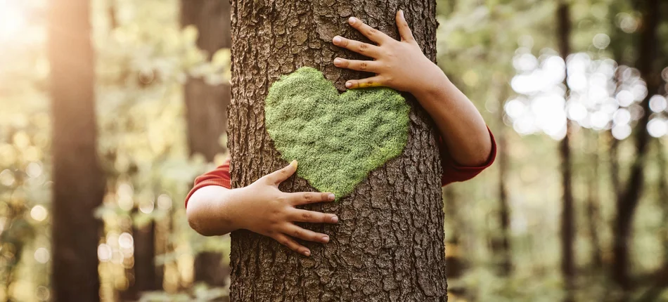Jak żyć w zgodzie z naturą – 8 nawyków przyjaznych środowisku - Obrazek nagłówka