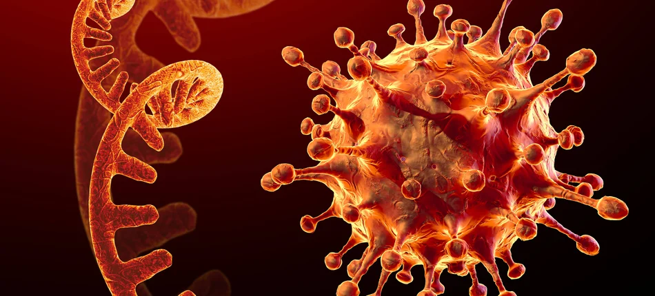 Naukowcy z RPA badają związek między nowymi mutacjami a wirusem HIV - Obrazek nagłówka