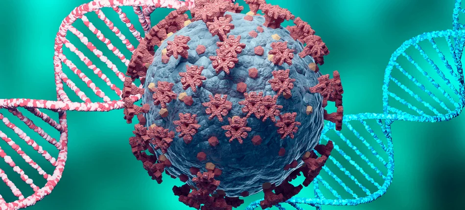 Jest nowy szczep wirusa odporny na przeciwciała? Mamy komentarz wirusologa z NIZP-PZH - Obrazek nagłówka