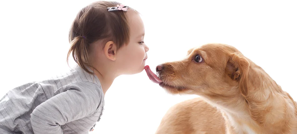 Kontakt z psami we wczesnym wieku, zmniejsza ryzyko zachorowania na schizofrenię - Obrazek nagłówka