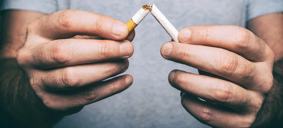 Przetrwałe skutki palenia tytoniu. Nowe badania Instytutu Pasteura - Obrazek nagłówka