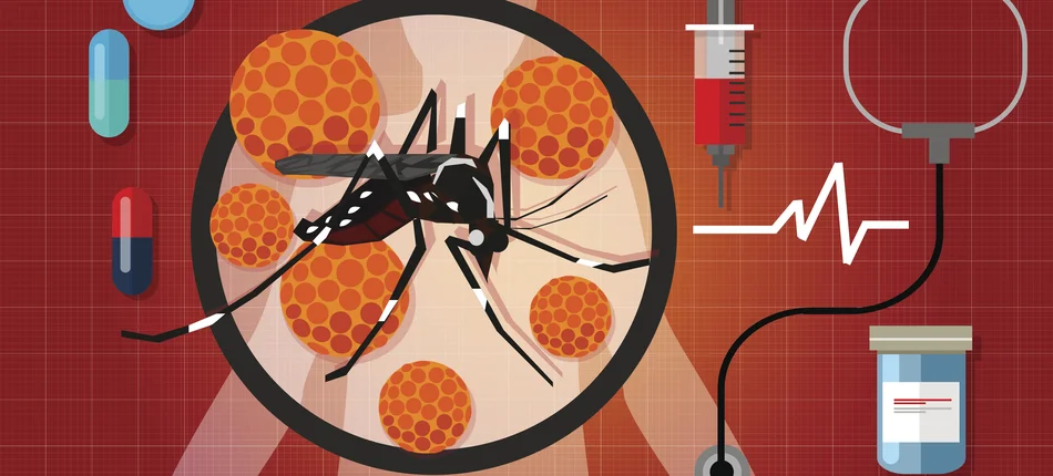 Pierwsza szczepionka przeciwko wirusowi Chikungunya zarejestrowana w Europie - Obrazek nagłówka