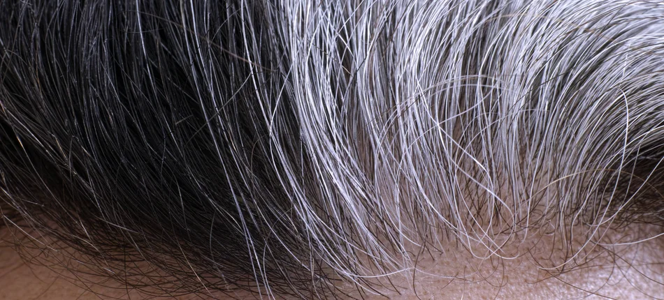 Jak dbać o męskie włosy? - Obrazek nagłówka