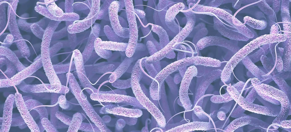 Cholera – stan wyjątkowy - Obrazek nagłówka
