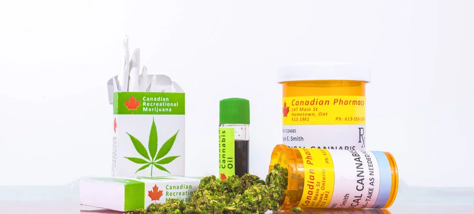 Sprawdź swoją wiedzę o medycznej marihuanie - Obrazek nagłówka