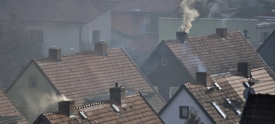 W której części Polski smog jest przyczyną zawałów? Mamy badania! - Obrazek nagłówka