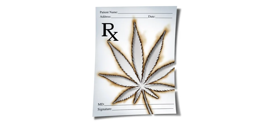 Rządowe wsparcie dla medycznej marihuany - Obrazek nagłówka