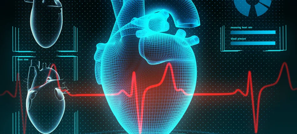 Warszawscy kardiolodzy nauczą sztuczną inteligencję interpretacji EKG - Obrazek nagłówka