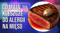 kleszcze-mieso