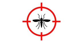 WHO idzie na wojnę z komarami