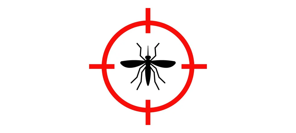 WHO idzie na wojnę z komarami - Obrazek nagłówka