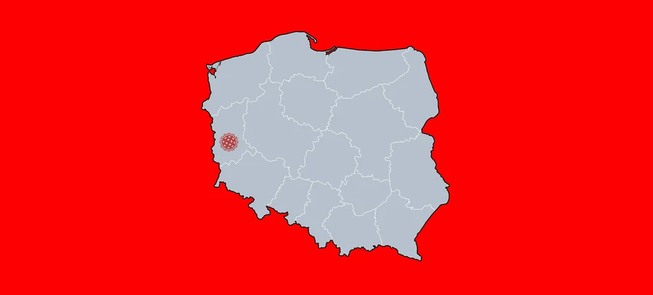 Koronawirus w Polsce. Jest pierwszy potwierdzony w Polsce przypadek koronawirusa - Obrazek nagłówka
