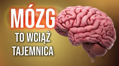 mozg-tajemnica-2