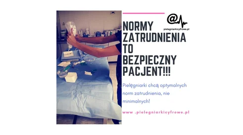 normy4c