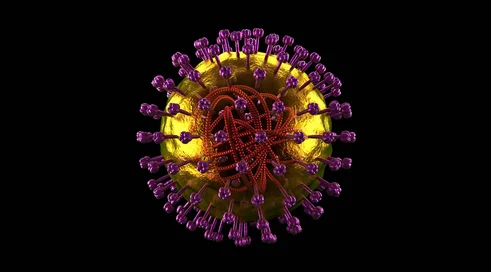 odra-wirus