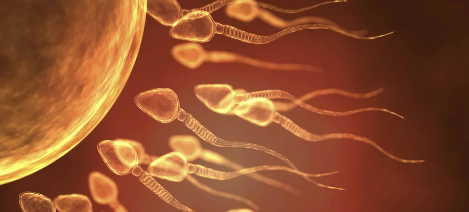 NHF reminds: semen testing is reimbursed - Header image