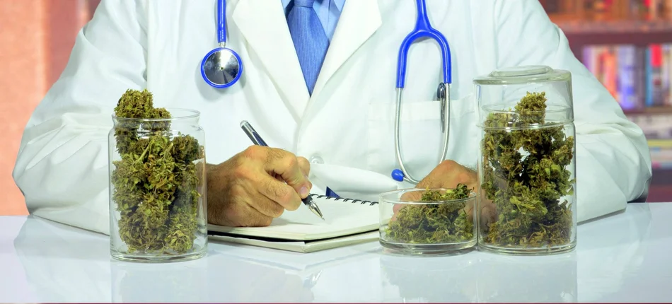 RPO potwierdza: medyczna marihuana faktycznie jest niedostępna dla chorych - Obrazek nagłówka