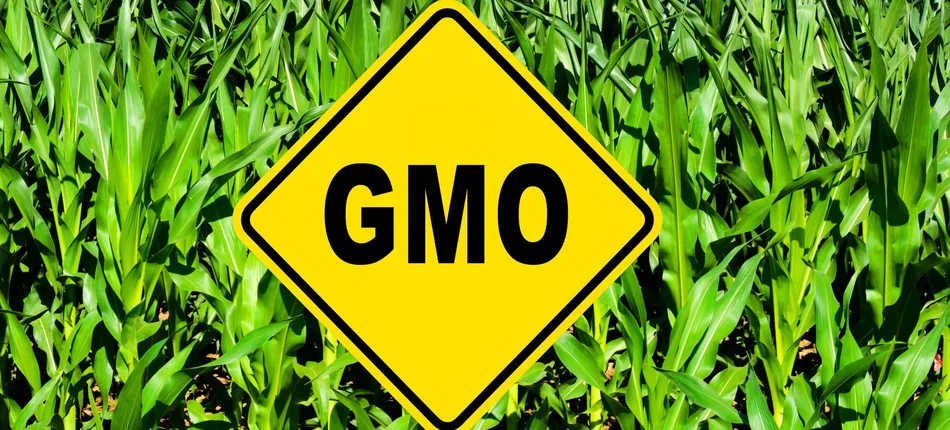 Nobliści: żywność GMO nie jest niebezpieczna dla ludzi - Obrazek nagłówka