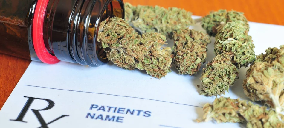 Łatwiejszy dostęp do medycznej marihuany - Obrazek nagłówka