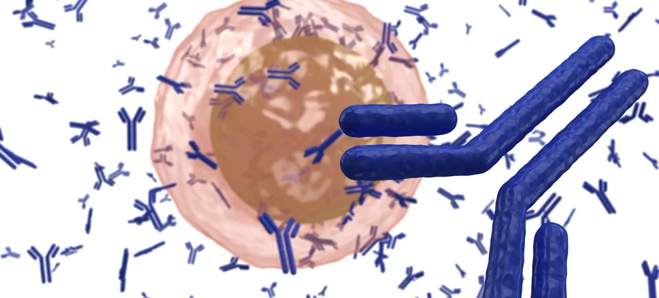 Pierwsze w UE przeciwciało immunostymulujące dla chorych na szpiczaka plazmocytowego  - Obrazek nagłówka
