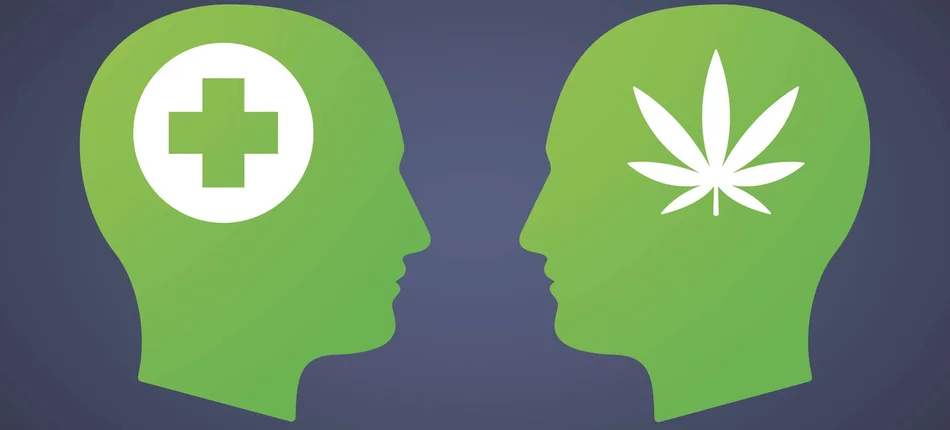 Marihuana a schizofrenia – nowe dane - Obrazek nagłówka