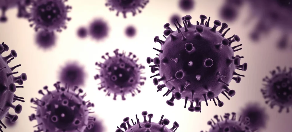 Epidemia grypy we Francji - Obrazek nagłówka