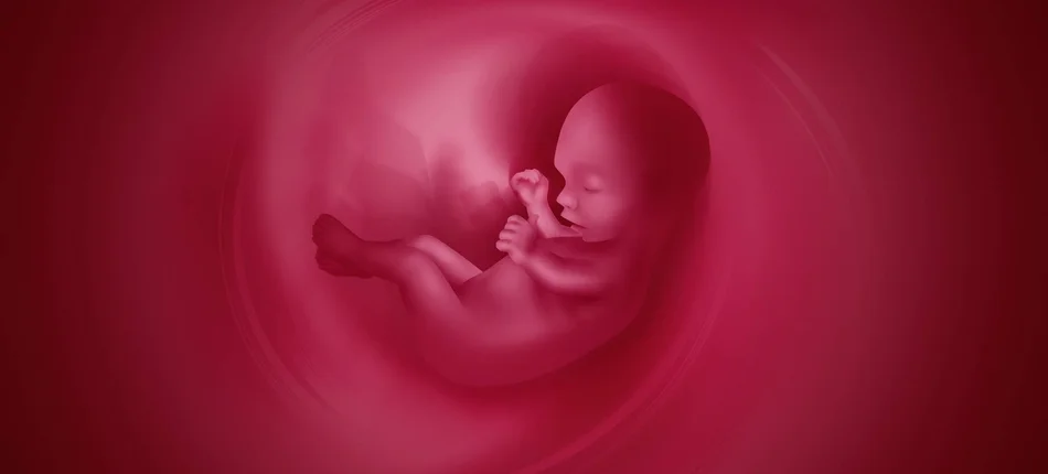Nowy sposób na zapobieganie porodom przedwczesnym? - Obrazek nagłówka