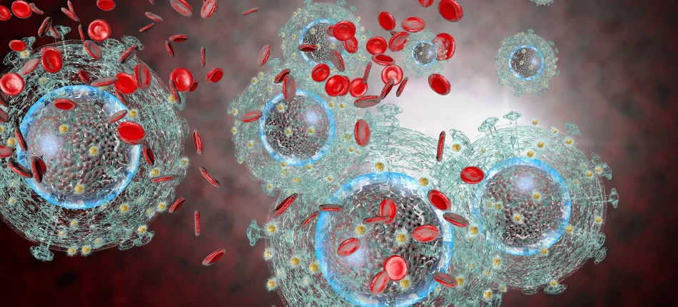 O zakażeniu wirusem HIV mogą decydować bakterie - Obrazek nagłówka