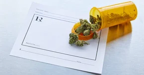 Nowe, twarde dowody na skuteczność pochodnych marihuany w leczeniu padaczki