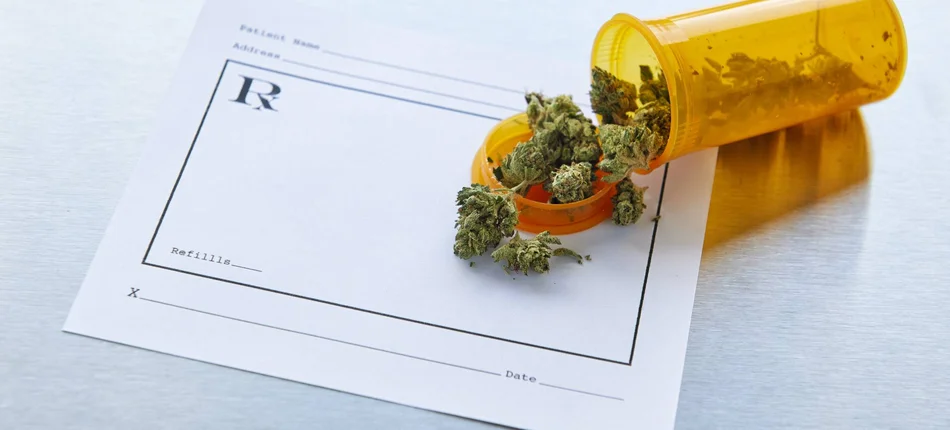 Nowe, twarde dowody na skuteczność pochodnych marihuany w leczeniu padaczki - Obrazek nagłówka