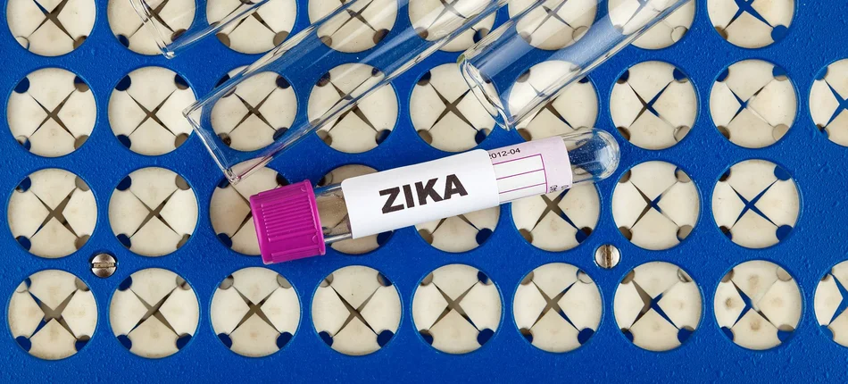 MZ:  osoby powracające z regionów, w których występuje wirus Zika, nie mogą oddawać krwi - Obrazek nagłówka