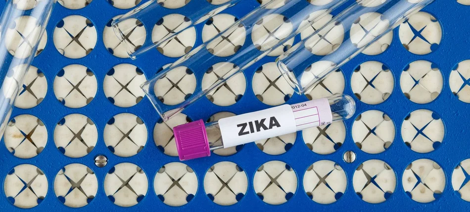 Zika  już u nas - Obrazek nagłówka