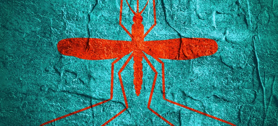 USA: Zastrzyk gotówki na walkę z wirusem Zika - Obrazek nagłówka